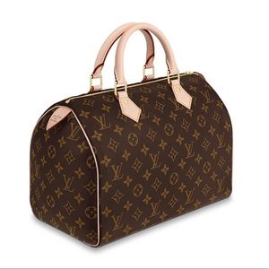 Louis Vuitton Speedy 30 Monogram Bag LV